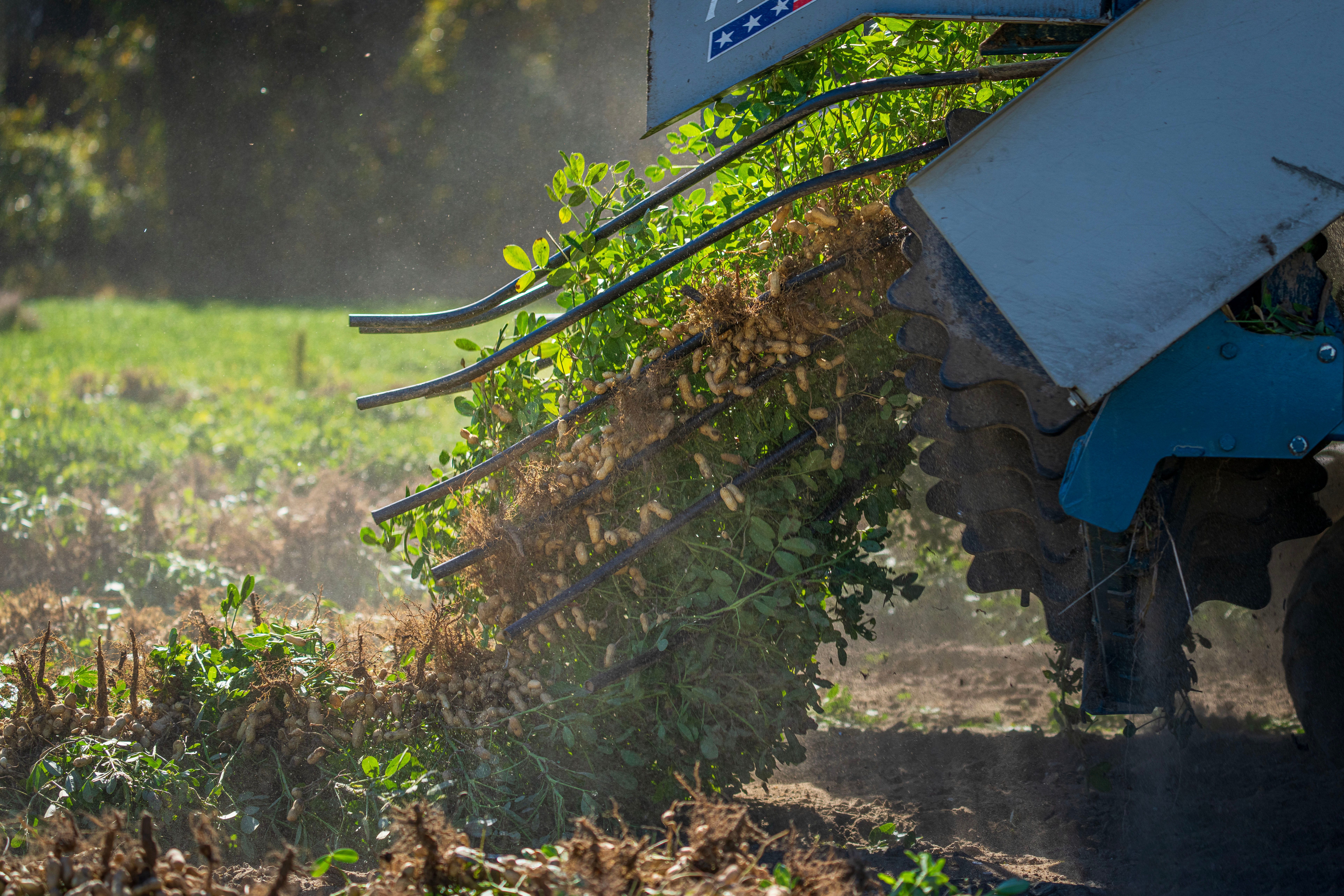 Close up of Plowing on Field · Free Stock Photo