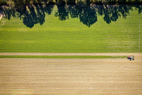 Aerial View of a Field During Harvest