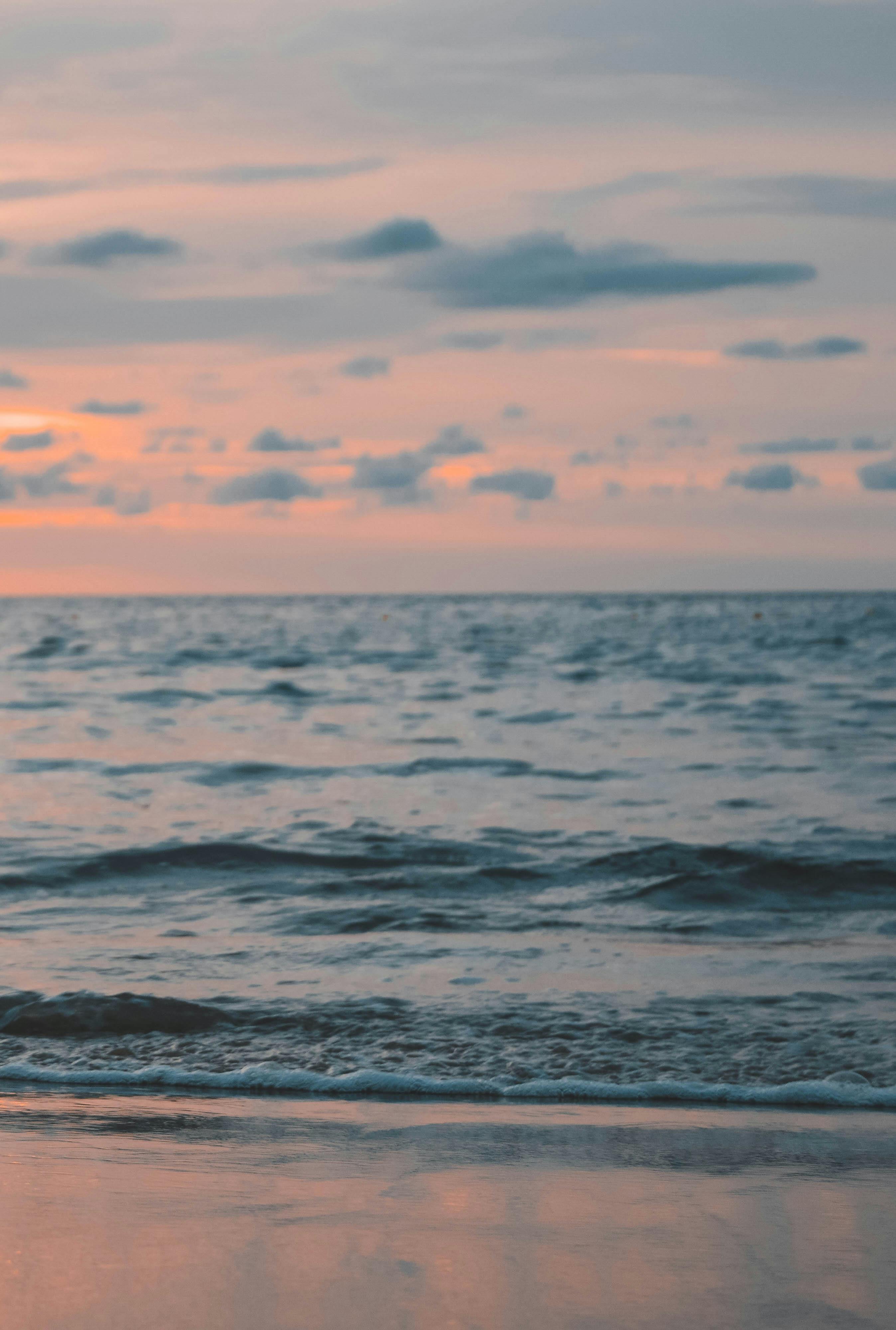 Beach Under Blue and White Sky · Free Stock Photo