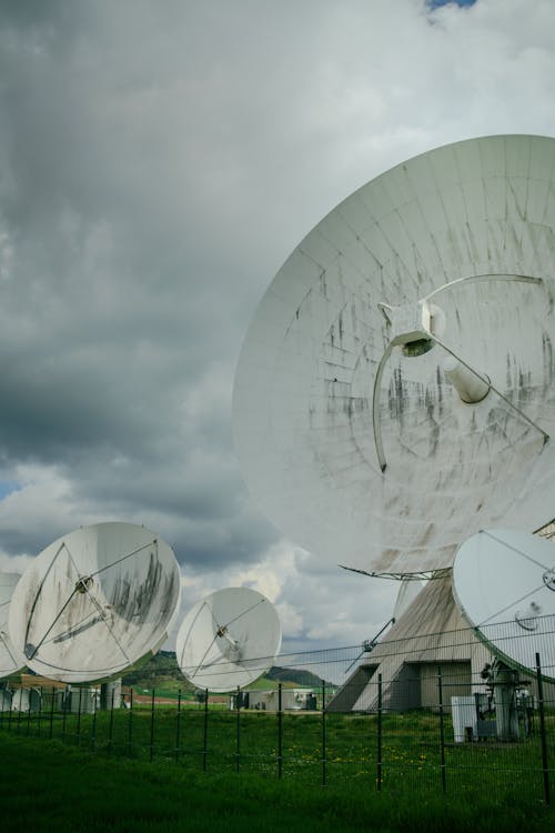 Foto profissional grátis de alerta, antenas, branco