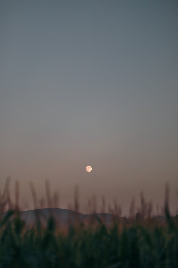 Twilight Landscape With Full Moon Rising Over Distant Hills 