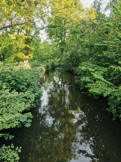 Free A tranquil stream in a lush green park setting, ideal for peaceful nature scenes. Stock Photo