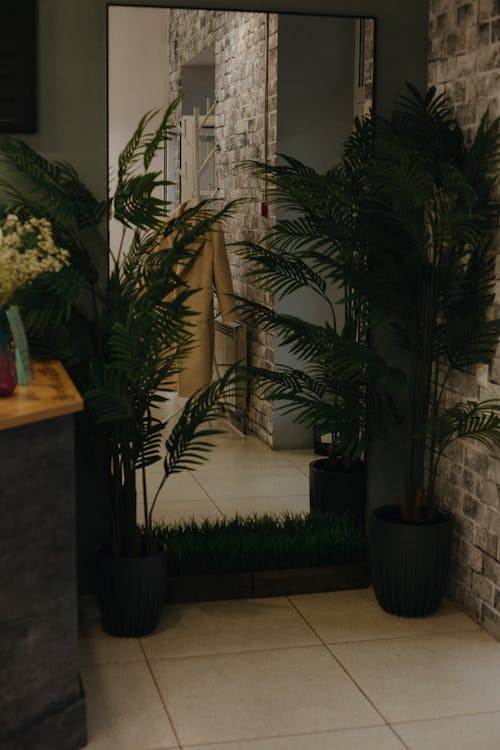 방, 수직 쐈어, 식물의 무료 스톡 사진