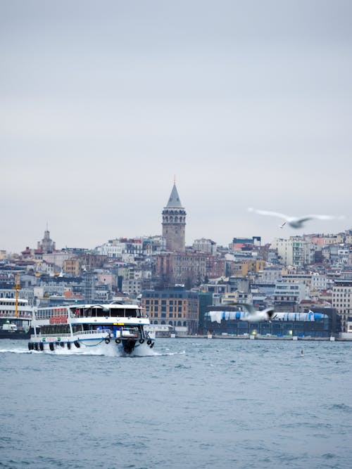 Galata Tower over Coast of Istanbul