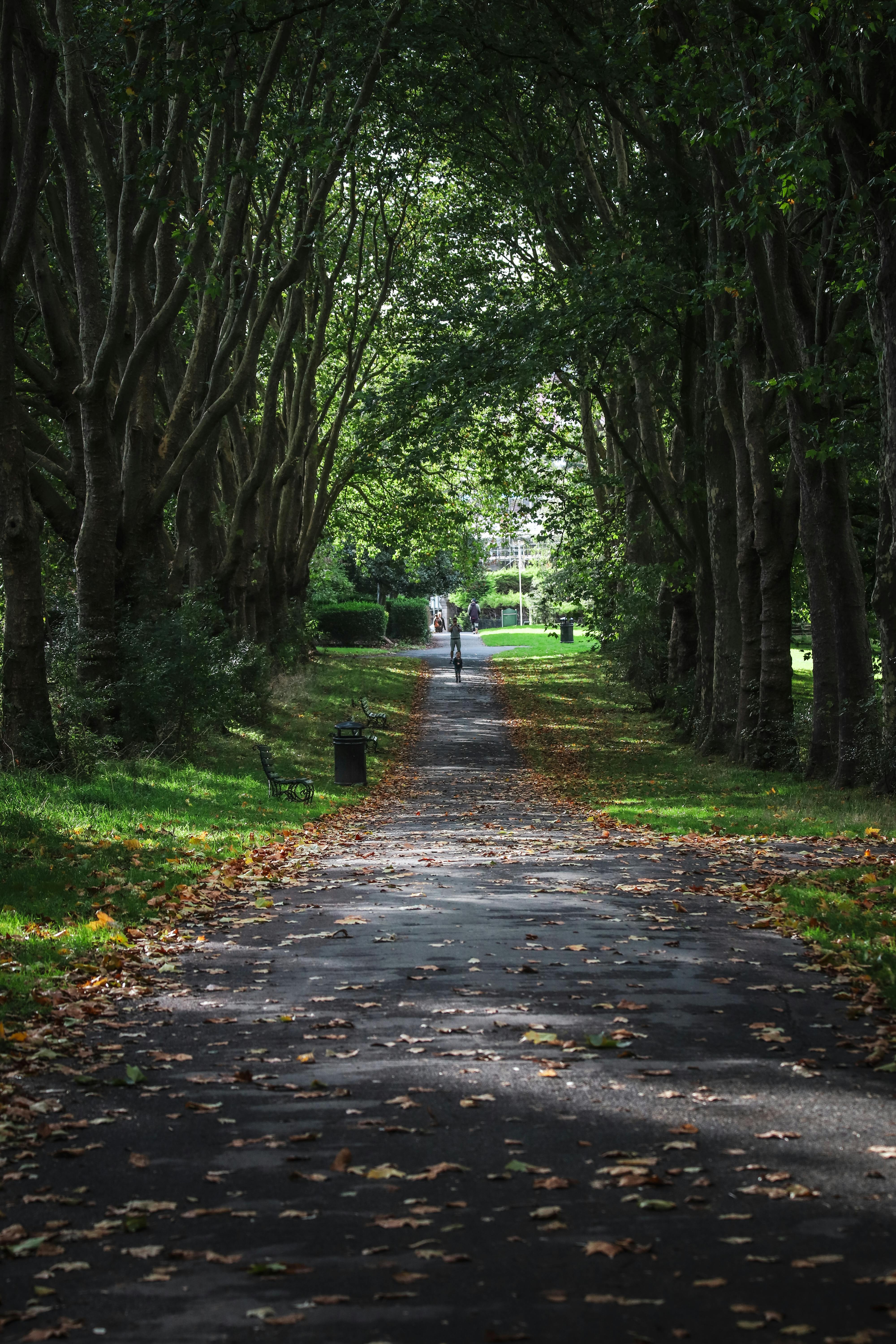Hull City Council Launches Footpath Improvement Programme Across 18 Streets