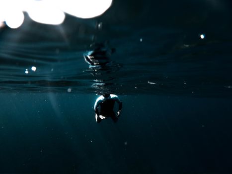 A diver wearing a wetsuit captured underwater as they descend into the dark ocean depths.