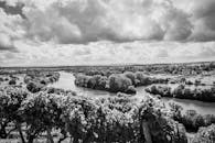 在戏剧性的云层下，德国法拉巴赫河畔的葡萄园呈现出一派田园诗般的黑白风景