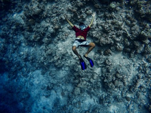 Free stock photo of maldives, ocean, snorkeling Stock Photo