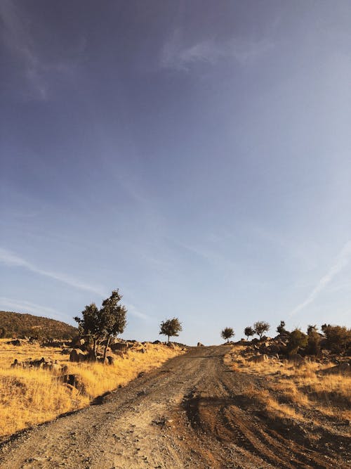 Δωρεάν στοκ φωτογραφιών με αγροτικός, γαλάζιος ουρανός, δέντρα