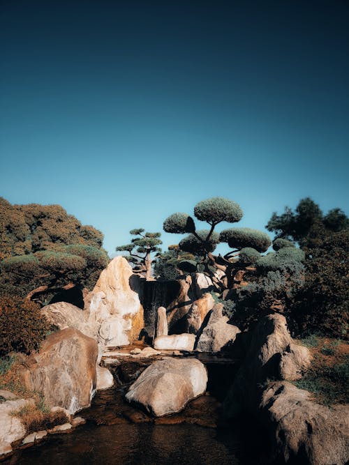 View of a Creek, Large Stones and Trees in a Japanese Garden under Blue Sky 
