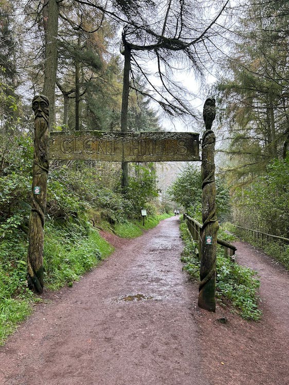 Kostenloses Stock Foto zu bäume, clent, clent hills