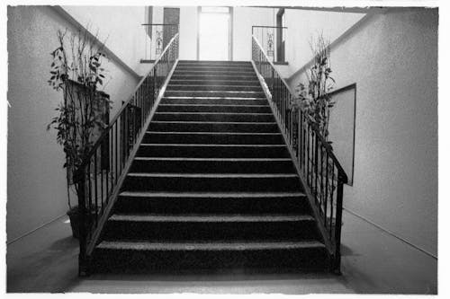 Black and White Photo of a Staircase