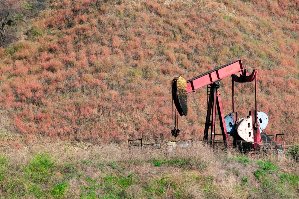 Oil pumpjack in a producing field