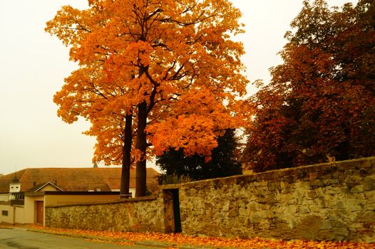 Autumn 1