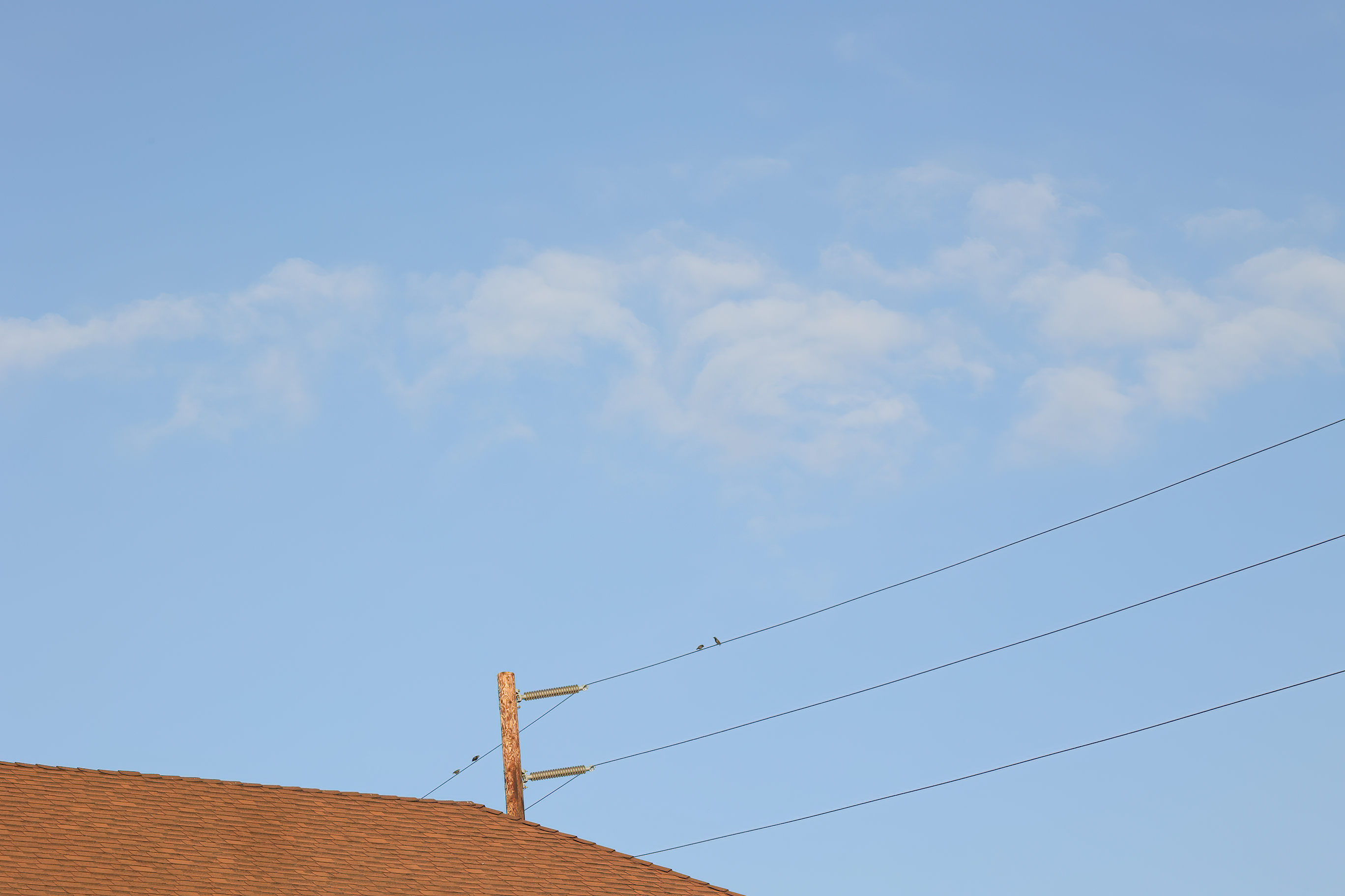 View of Power Lines · Free Stock Photo
