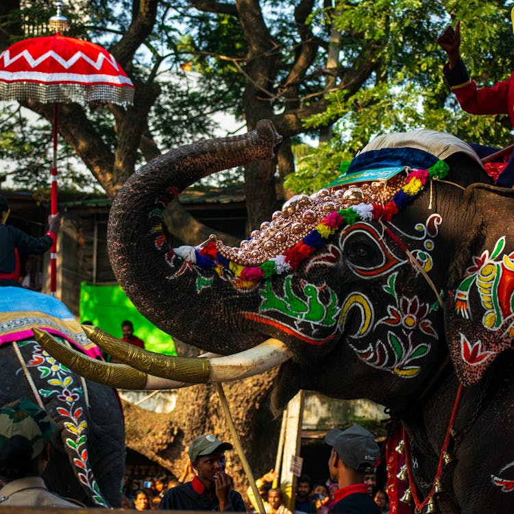 Elephant In Colorful Costume