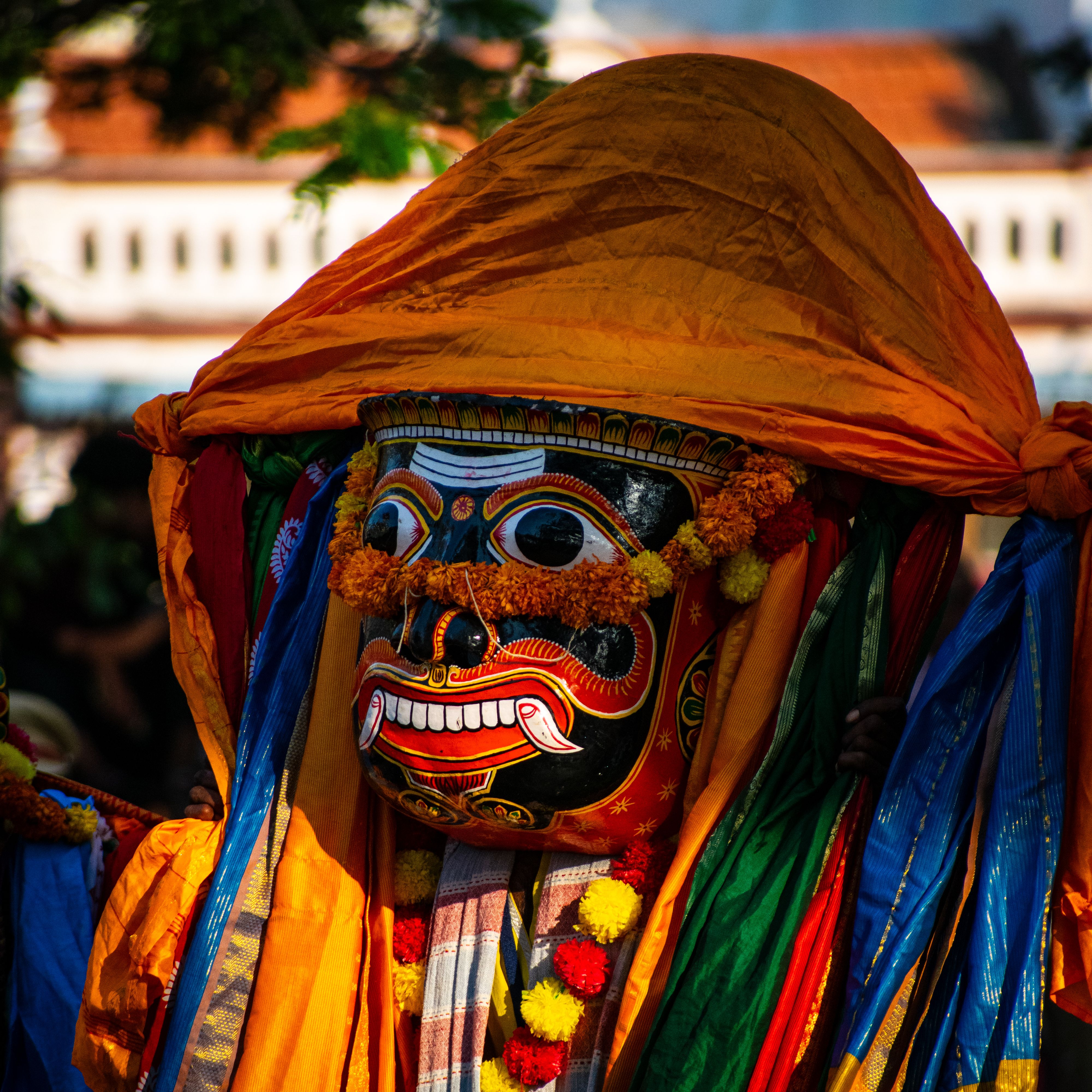 Close up of Colorful Costume · Free Stock Photo