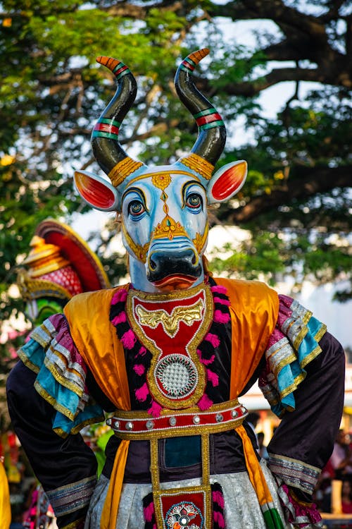 Person in a Colorful Costume at a Parade