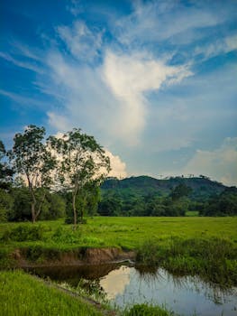 Peaceful countryside landscape with lush greenery, trees, and reflective water under a bright sky.