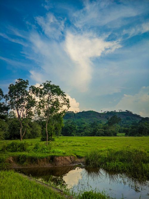 Free Peaceful countryside landscape with lush greenery, trees, and reflective water under a bright sky. Stock Photo