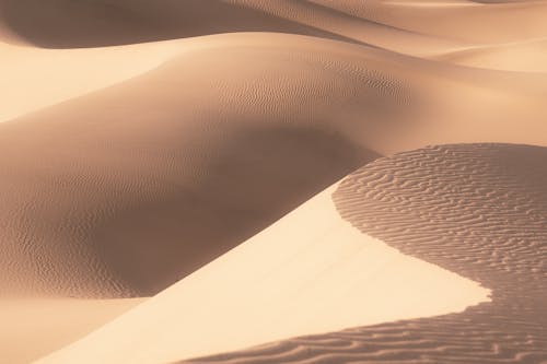 Gratis arkivbilde med natur, ørken, sand