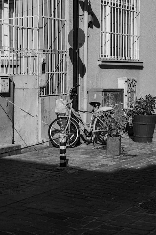 Immagine gratuita di bianco e nero, bicicletta, città