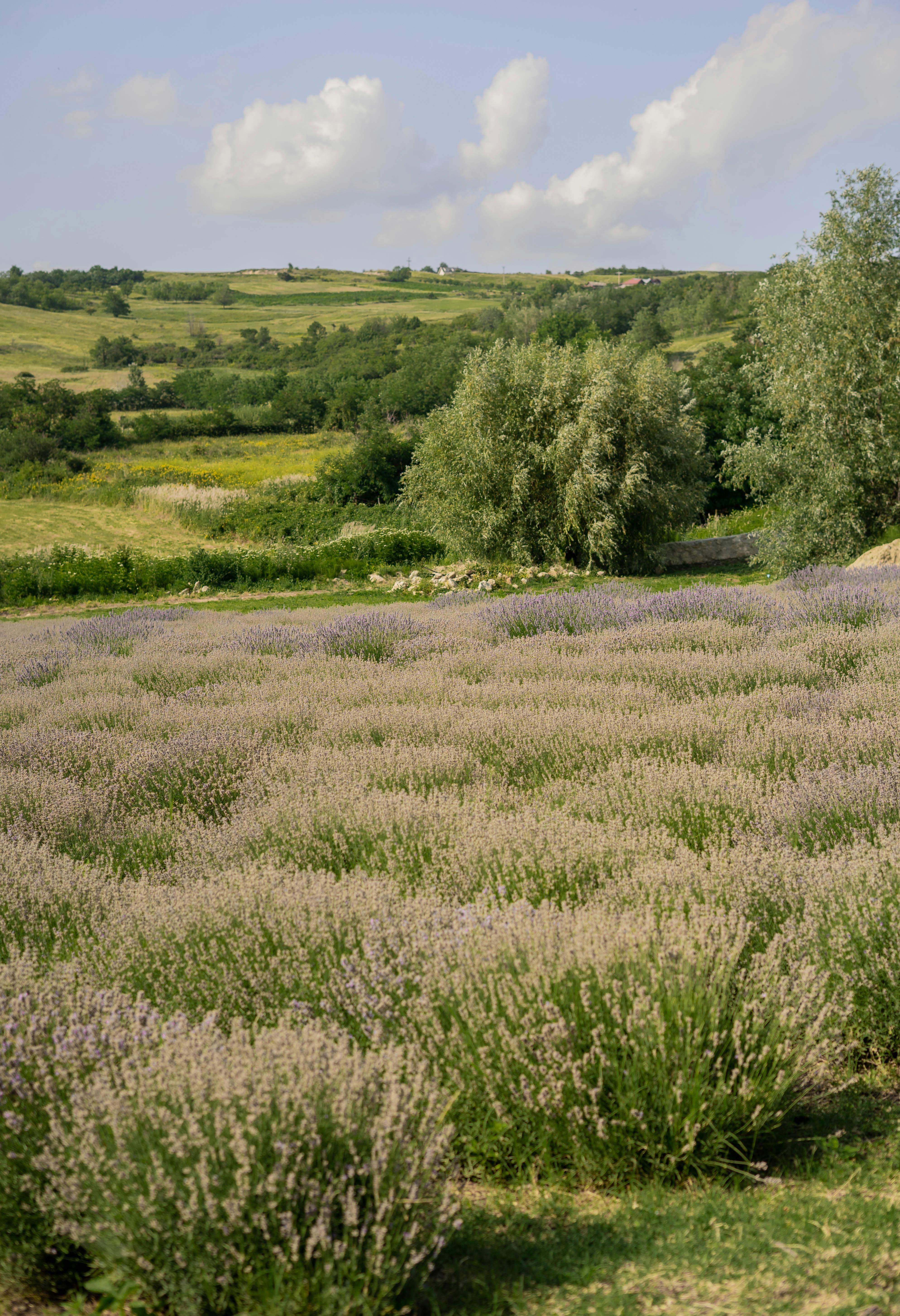 QSSTCIRSVERSION XXCALGOMEZSMOKETEST FREE XXX VIDEOS visual data 5