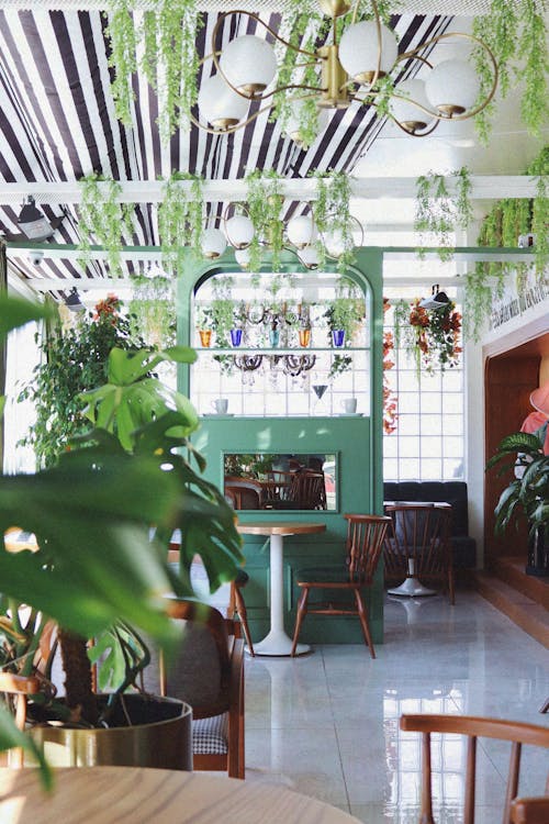 Cafe Interior Full of Plants