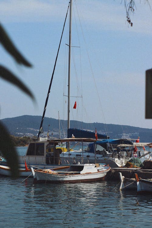 Yachts Moored by Pier in Harbor