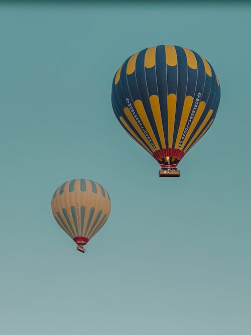 Hot Air Balloons Flying on Clear Sky