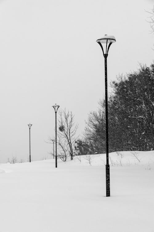 Lamps in Snow in Black and White