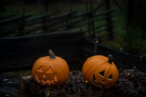 Two Carved Pumpkins