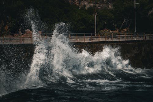 Foto stok gratis gelombang, kekuatan alam, laut