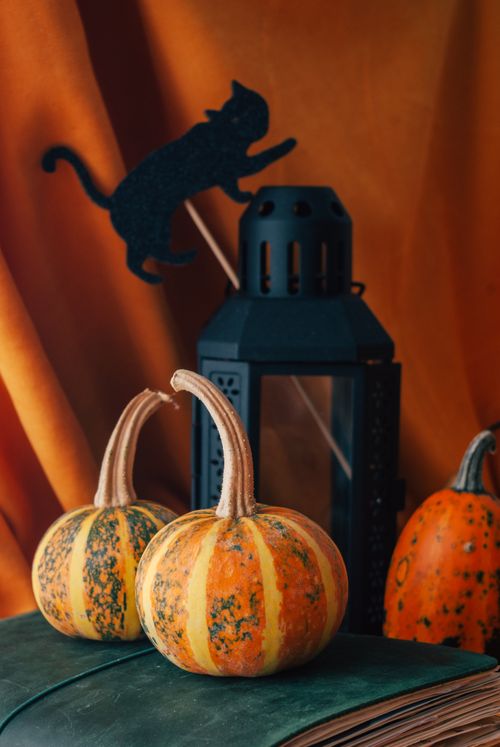 Free Decorative pumpkins and lantern with Halloween cat silhouette against an orange background. Stock Photo