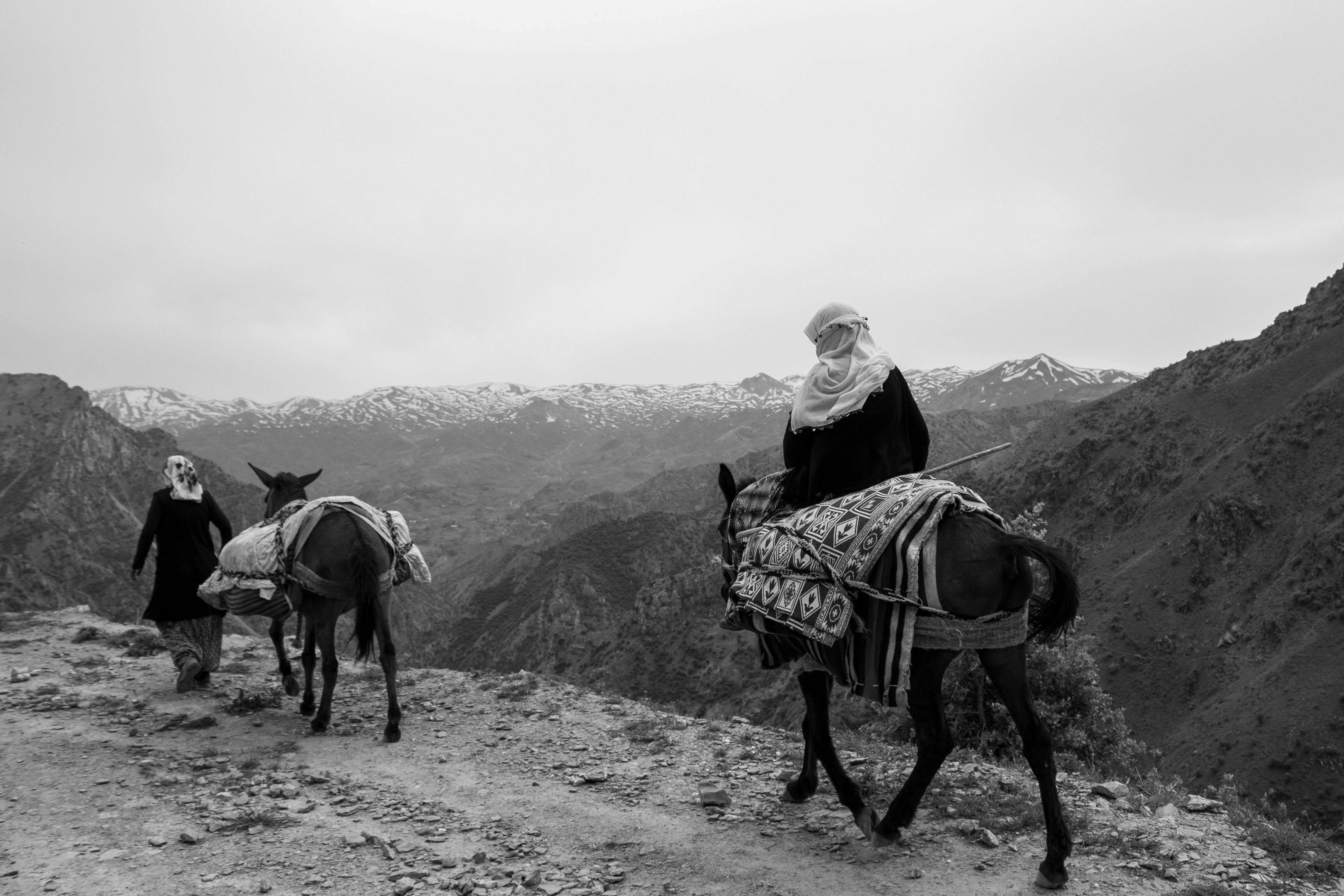 Dağlık arazide katırlarla yol alan kervan