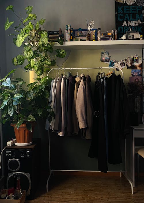 Clothes and Plants by Wall in Room