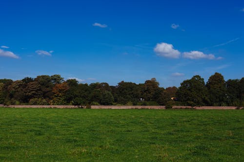 공원, 던햄 마사시, 영국의 무료 스톡 사진