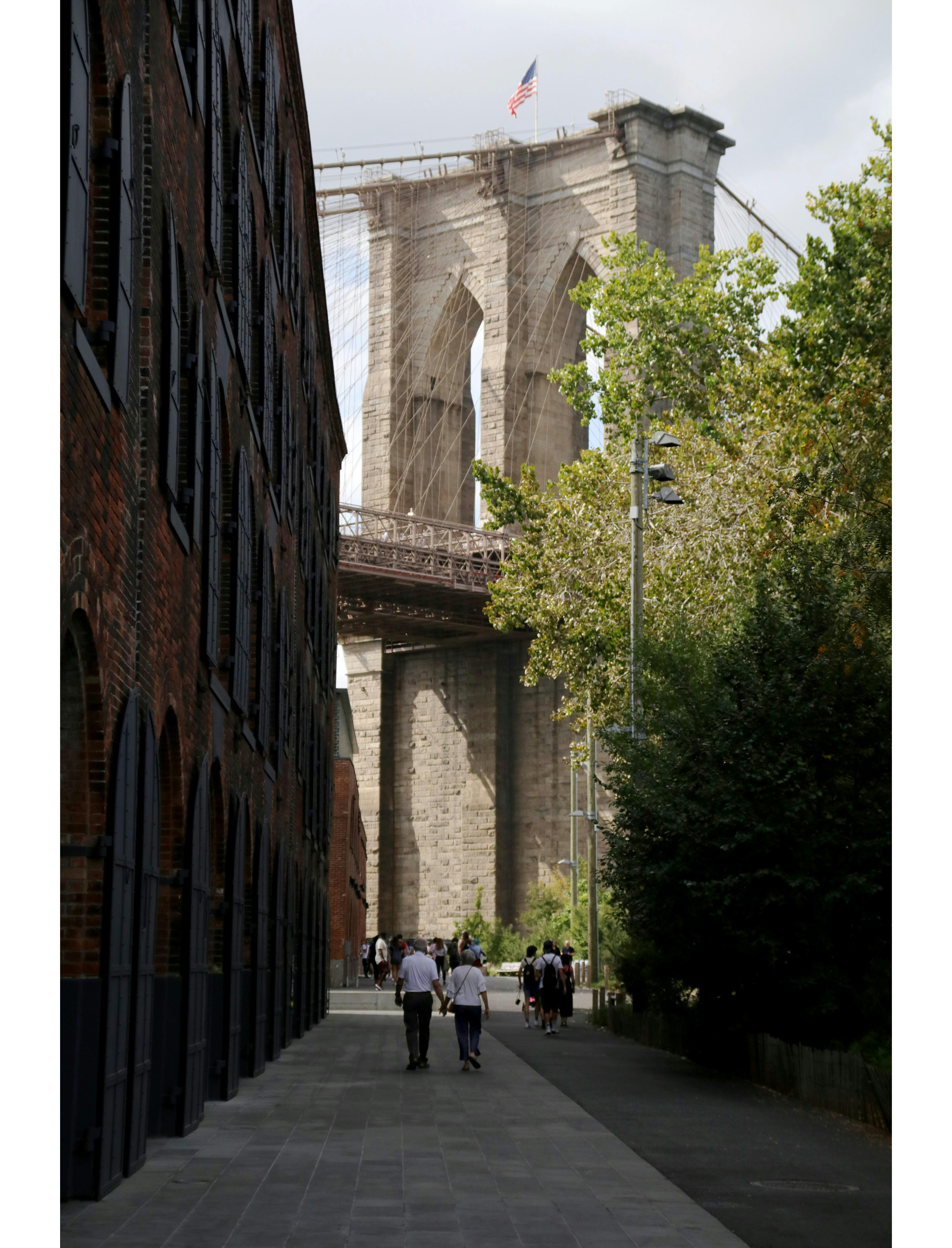 Foto de stock gratuita sobre brooklyn, calle, callejón, calles de la