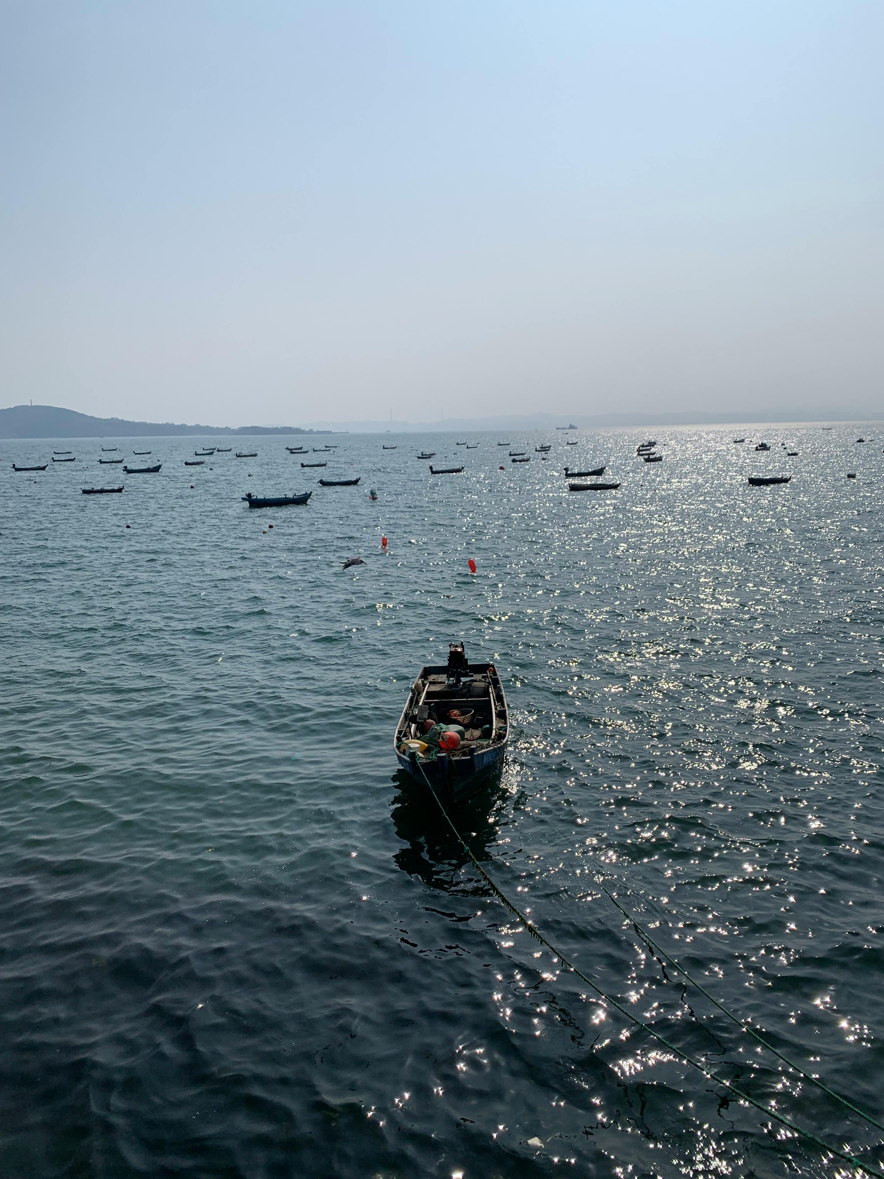 Bateau de pêche voguant paisiblement sur une mer calme et ensoleillée
