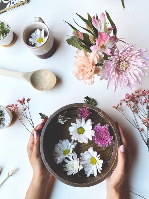 Woman Hands Holding Flowers Pot