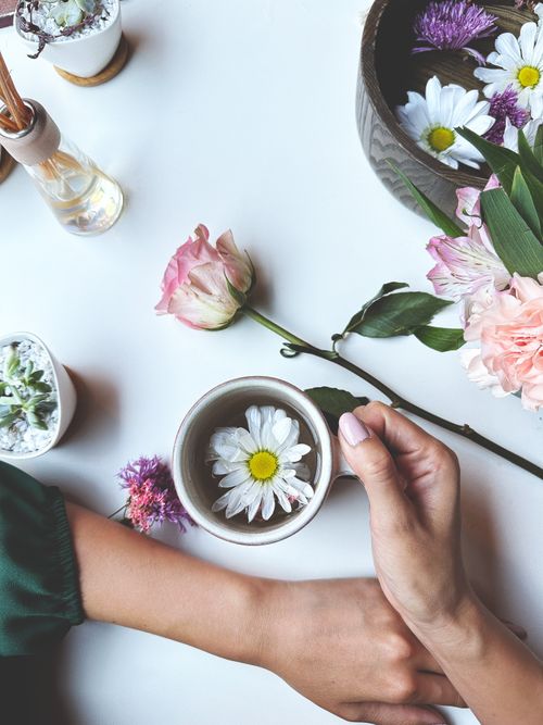 Free Top view of hands holding a floral tea cup amidst elegant flowers on a white background. Stock Photo