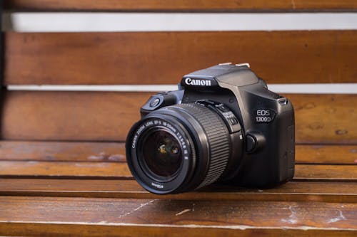 Camera on Bench