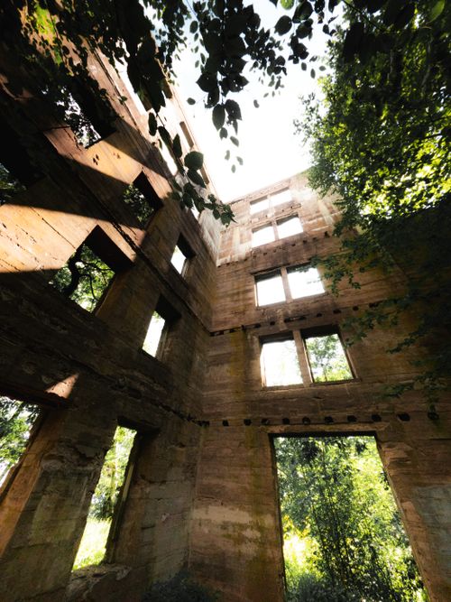 Free Interior view of an abandoned building with windows and vines under sunlight. Stock Photo