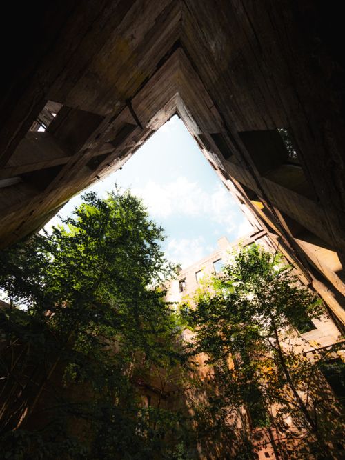 Free View of lush green trees inside the structure of an abandoned building, under a bright blue sky. Stock Photo