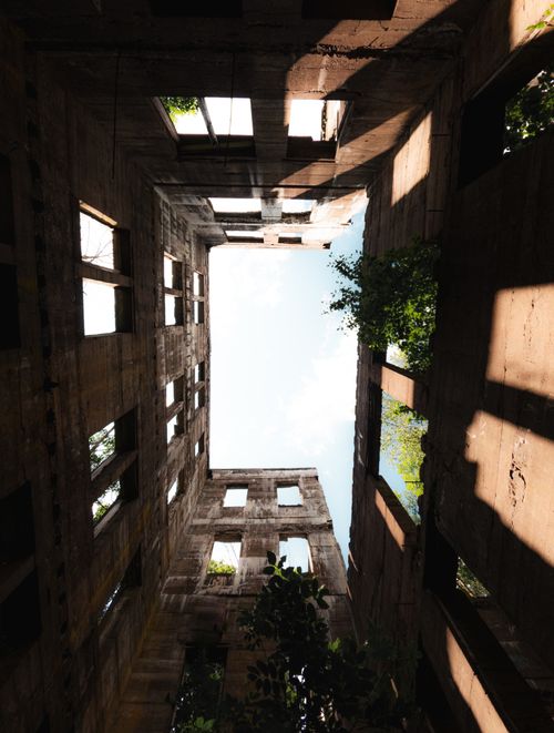 Free Vertical shot of an abandoned, ruined building with trees growing inside, revealing the sky through open windows. Stock Photo