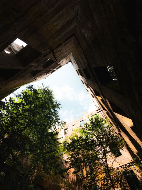 Free View of an abandoned building taken from an inner courtyard, showing overgrown trees and blue sky. Stock Photo