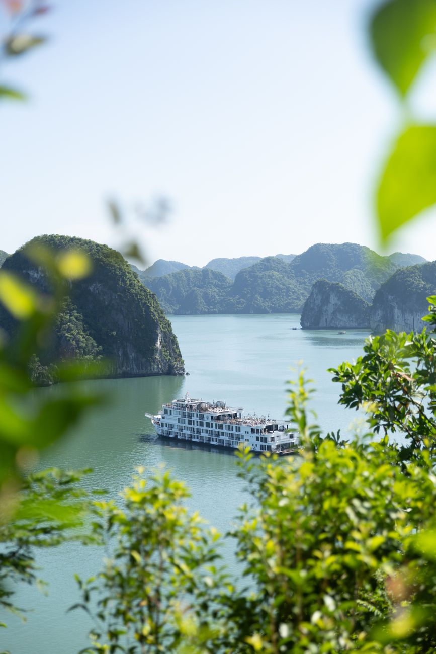 The Essential Ha Long Bay Cruise Guide: Navigate Your Dream Vietnam Adventure