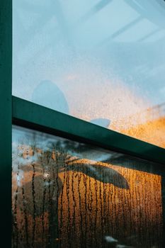 A window with condensation reflecting warm sunlight and shadows of leaves.