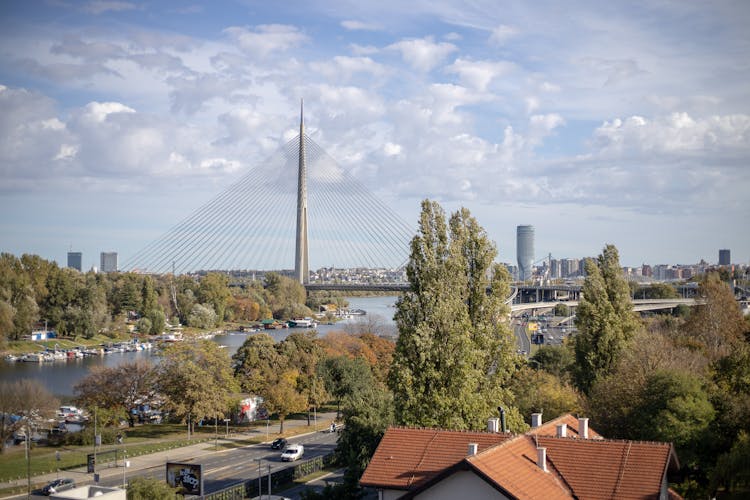 Ada Bridge In Belgrade