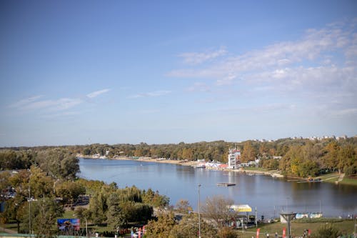 Kostnadsfri bild av antenn, flod, grön